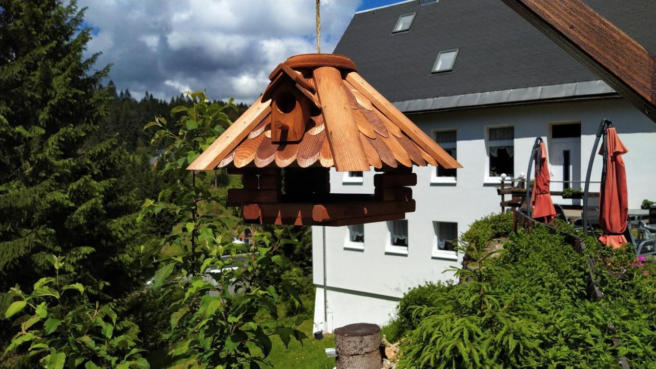 Greizer Kammhuette Gaststaette & Pension Klingenthal Dış mekan fotoğraf