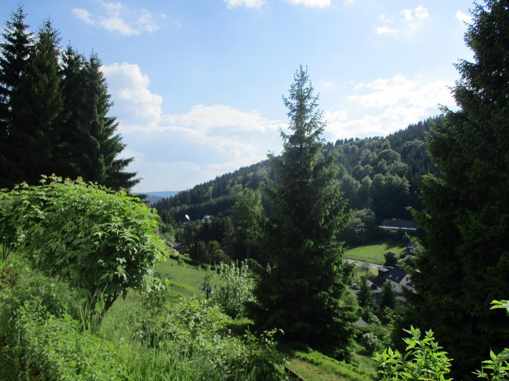 Greizer Kammhuette Gaststaette & Pension Klingenthal Dış mekan fotoğraf