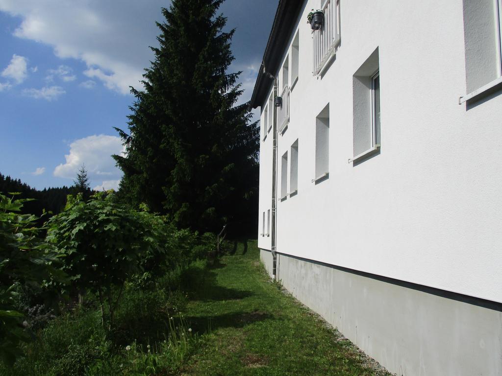 Greizer Kammhuette Gaststaette & Pension Klingenthal Dış mekan fotoğraf
