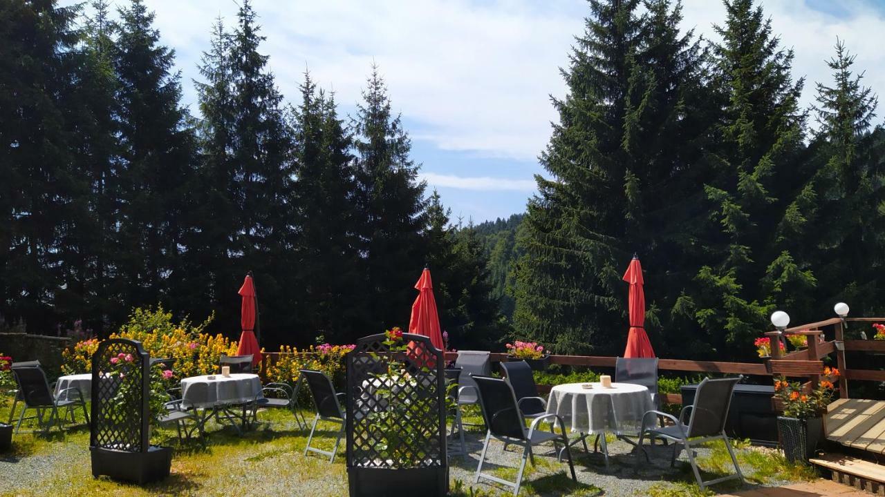Greizer Kammhuette Gaststaette & Pension Klingenthal Dış mekan fotoğraf