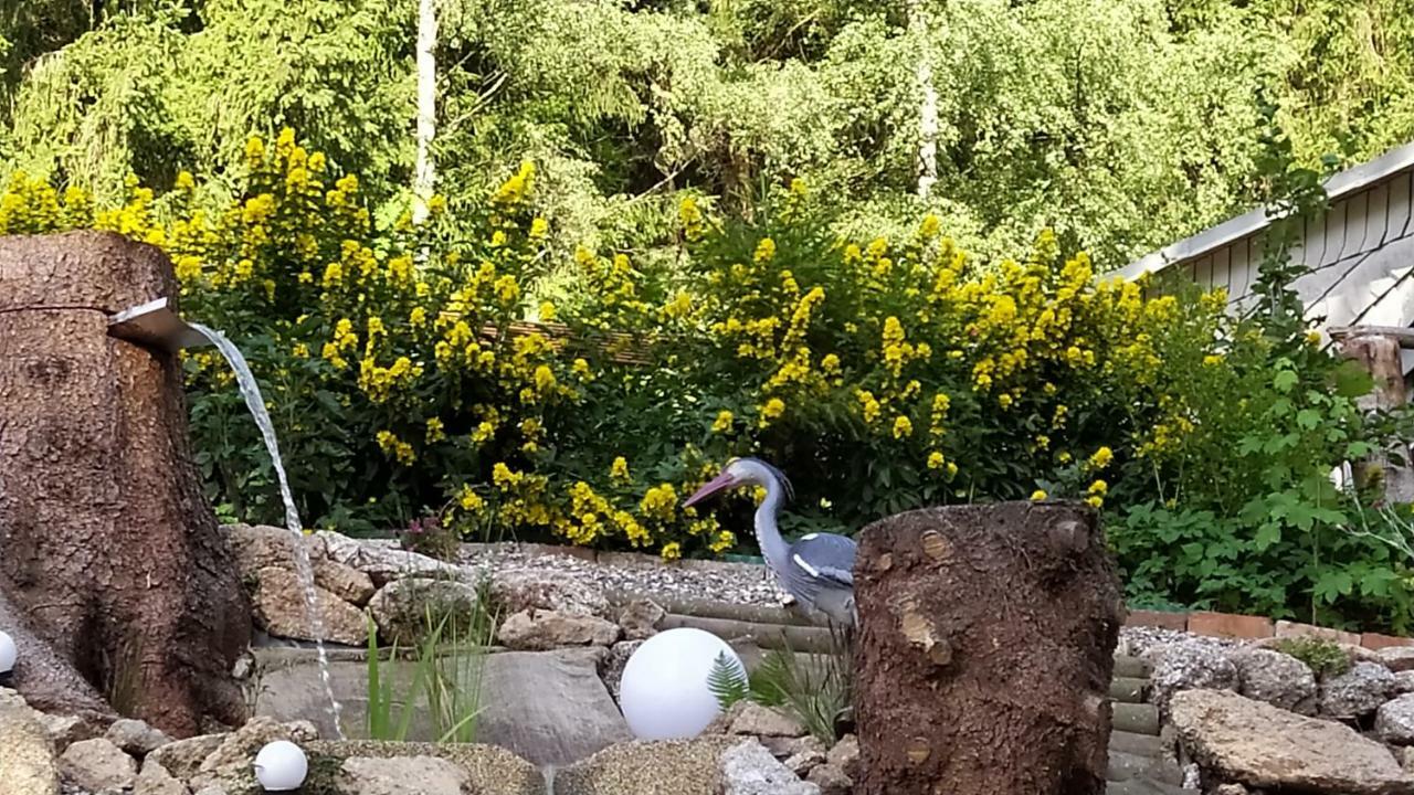 Greizer Kammhuette Gaststaette & Pension Klingenthal Dış mekan fotoğraf