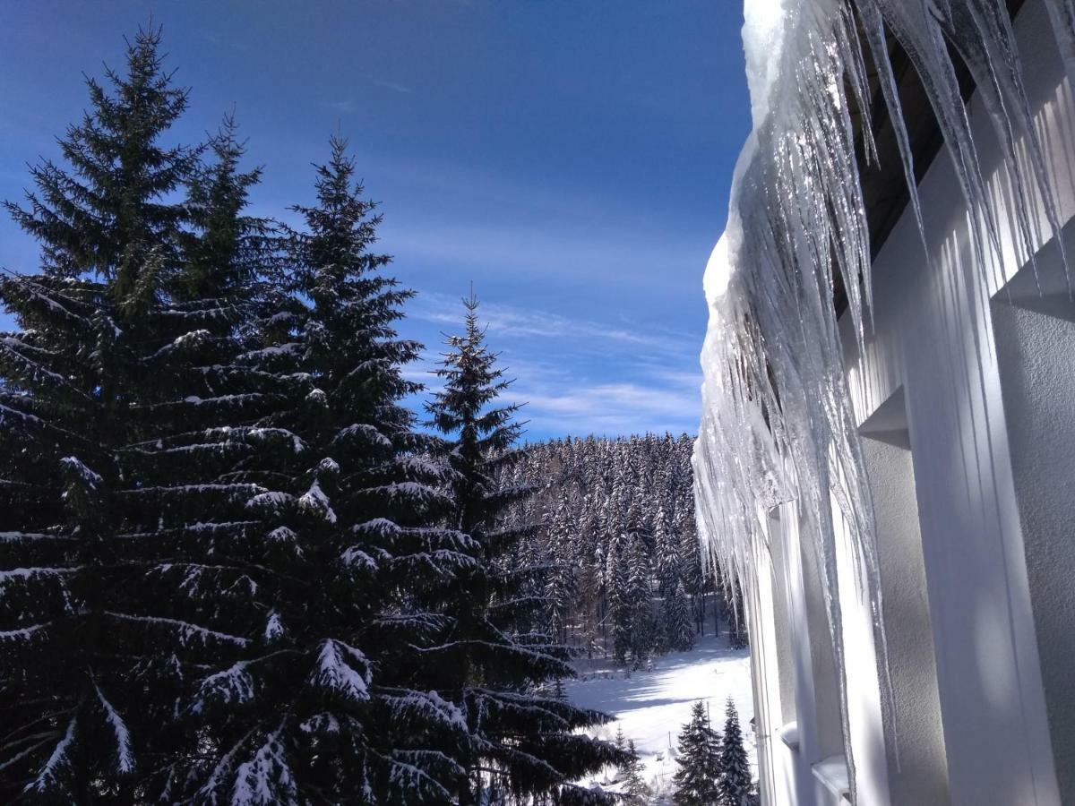 Greizer Kammhuette Gaststaette & Pension Klingenthal Dış mekan fotoğraf
