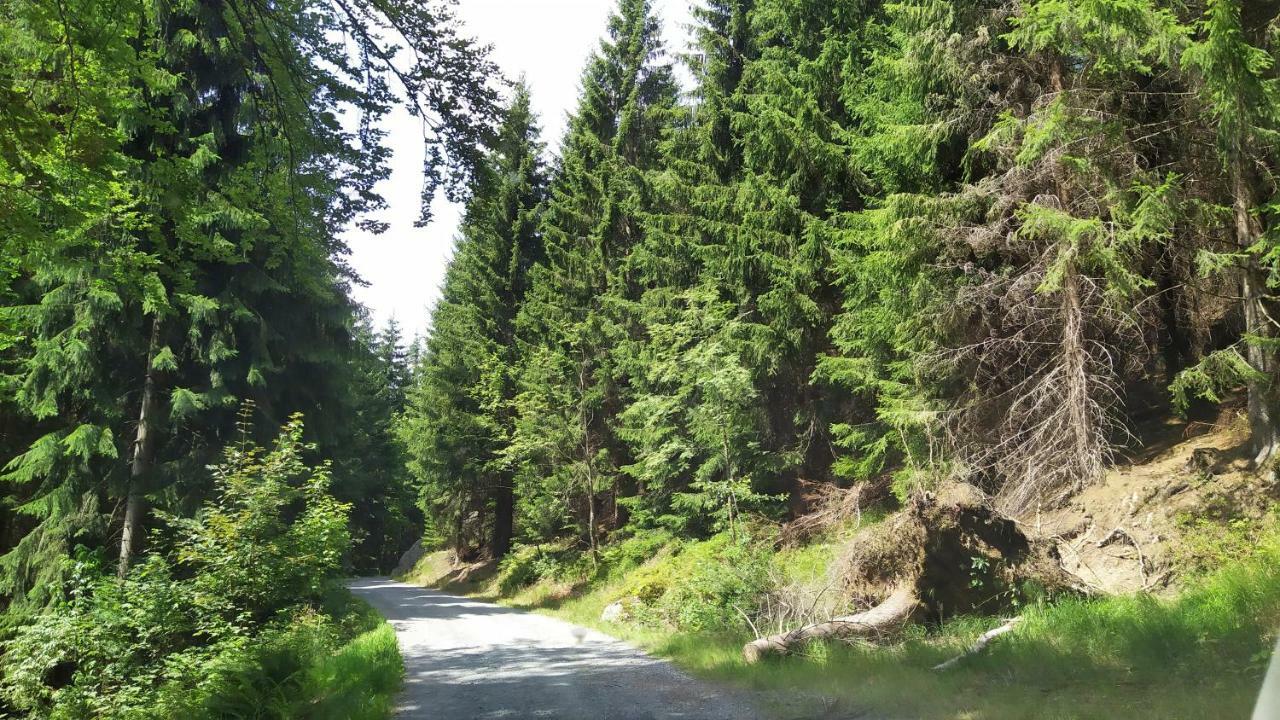 Greizer Kammhuette Gaststaette & Pension Klingenthal Dış mekan fotoğraf